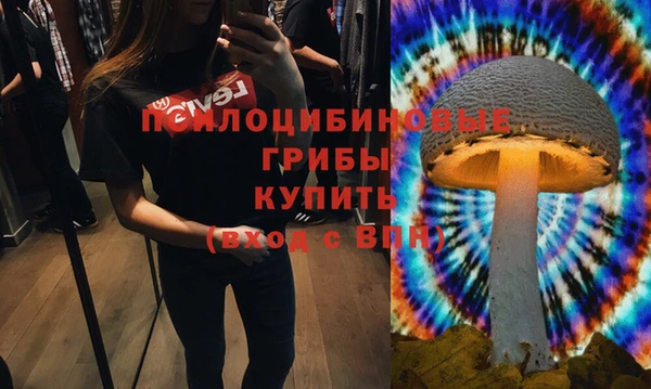 кристаллы Белокуриха