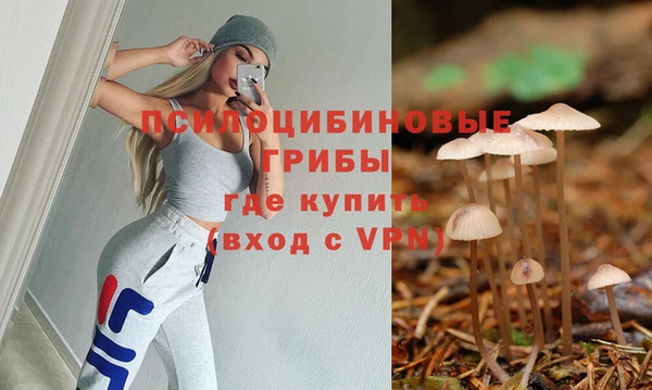 кристаллы Белокуриха